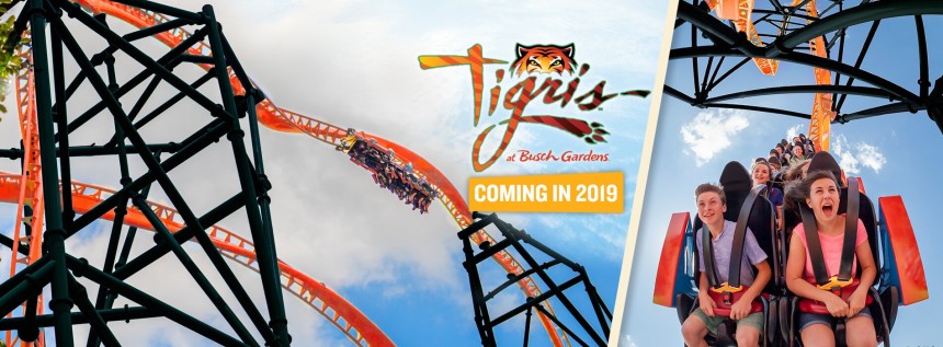 Tigris, la nueva propuesta salvaje de Busch Gardens