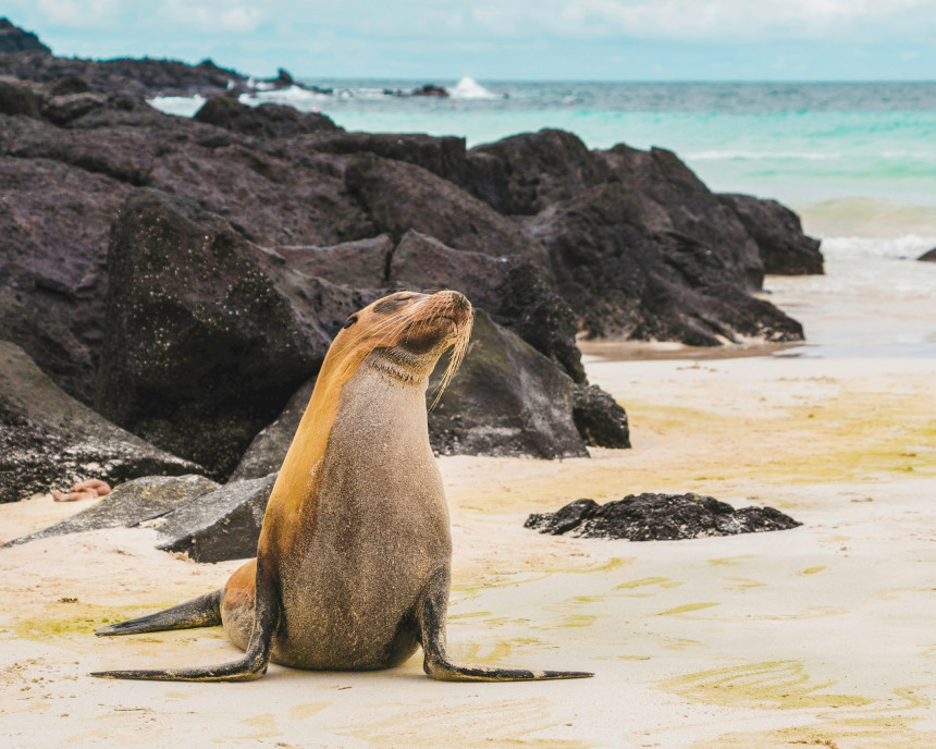 Las Islas Galápagos incrementarán tasas de ingreso 