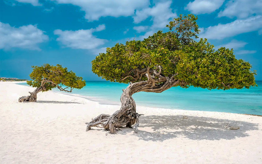 Premios de Tripadvisor 2026 designan a Eagle Beach como playa número 1 del Caribe