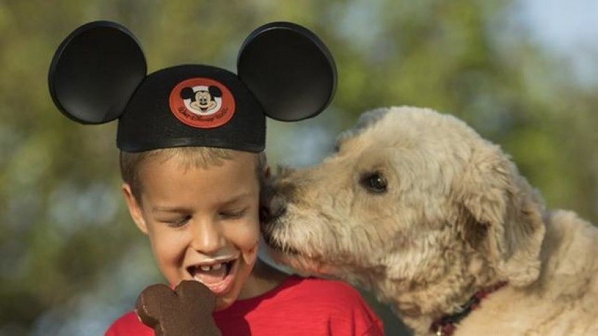 Perros también podrán alojarse en hoteles de Disney