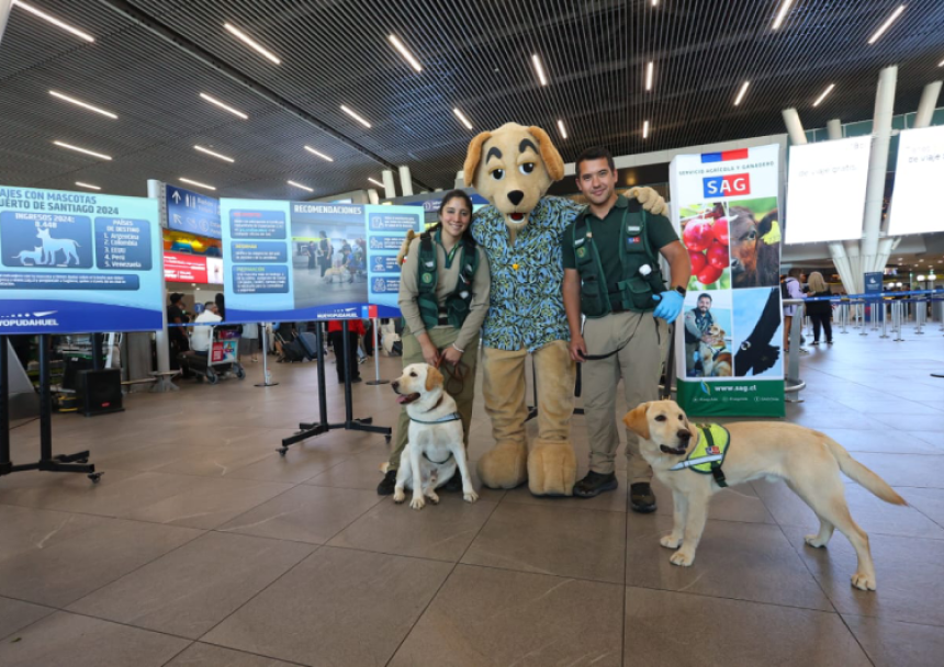 Aeropuerto de Santiago rompe récord de viajes con mascotas