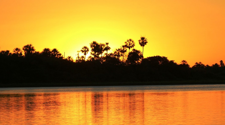 Pantanal Paraguayo