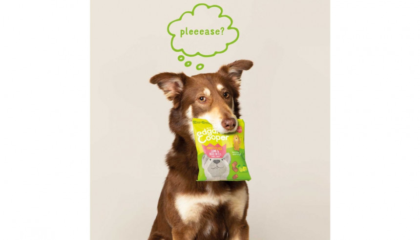 Vueling, primera aerolínea europea en incluir snacks para perros en su menú