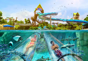 SeaWorld Parks anuncia nuevas atracciones y parque para el 2022