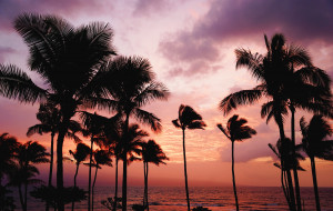 Hawái lanza un programa que permitirá viajar a la isla sin necesidad de cumplir cuarentena