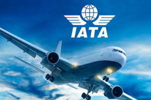 IATA presentará soluciones, herramientas y programas para agencias de viajes en FIT y ABAV 