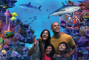 A principios de junio, Legoland, en Florida, abrirá Sea Life, su nuevo acuario interactivo