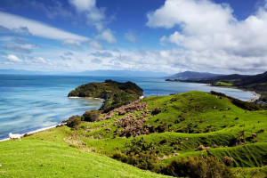 Rigurosidad en extremo: Nueva Zelanda cierra el país por un caso de COVID-19