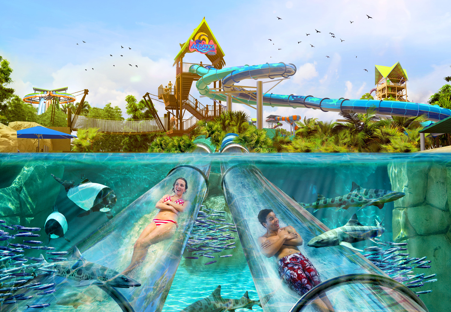 SeaWorld Parks anuncia nuevas atracciones y parque para el 2022 ...